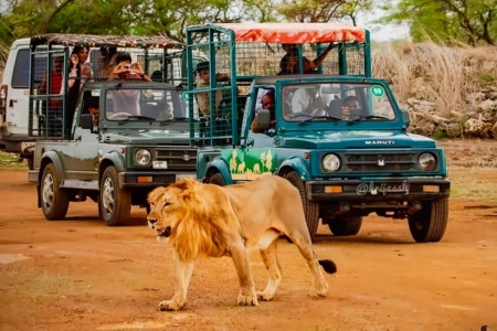 Devaliya Jeep Safari